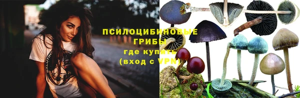 мдпв Киренск