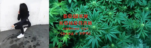 мдпв Киренск