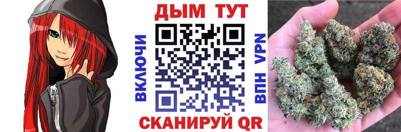 Купить закладки  Севск  Конопля индика 